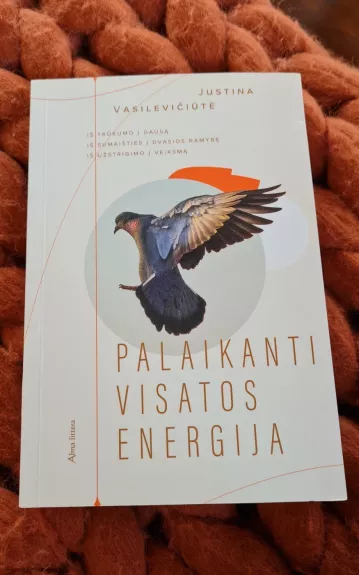 Palaikanti visatos energija - Justina Vasilevičiūtė, knyga
