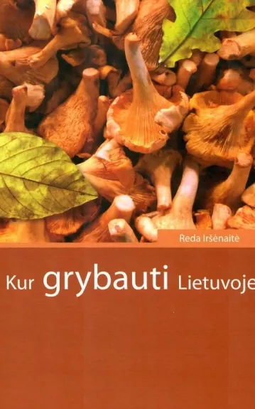 Kur grybauti Lietuvoje