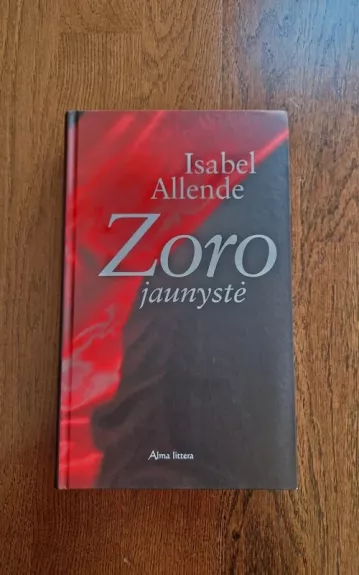 Zoro jaunystė - Isabel Allende, knyga 1