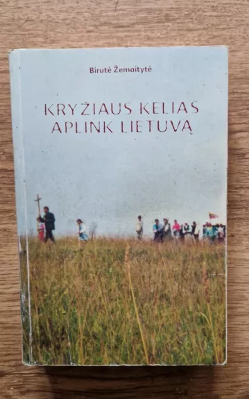 Kryžiaus kelias aplink Lietuvą - Birutė Žemaitytė, knyga