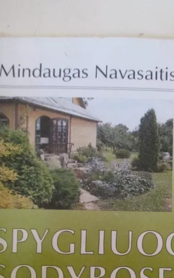 Spygliuočiai sodybose - Mindaugas Navasaitis, knyga 1