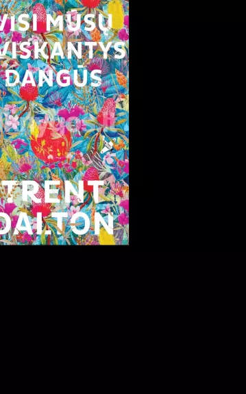 Visi mūsų tviskantys dangūs