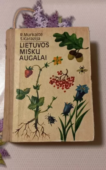 Lietuvos miškų augalai - R. Murkaitė, knyga