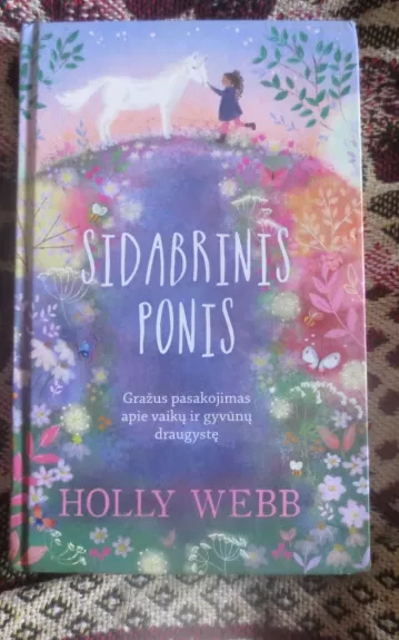 Sidabrinis ponis - Holly Webb, knyga