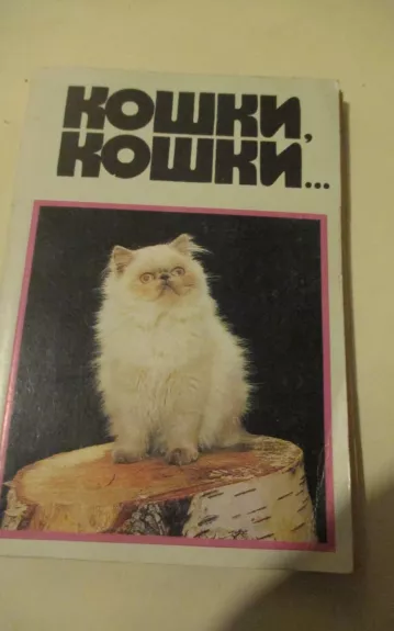 Кошки, кошки...