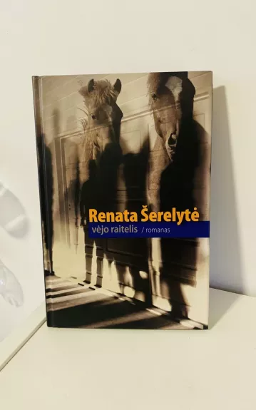 Vėjo raitelis - Renata Šerelytė, knyga
