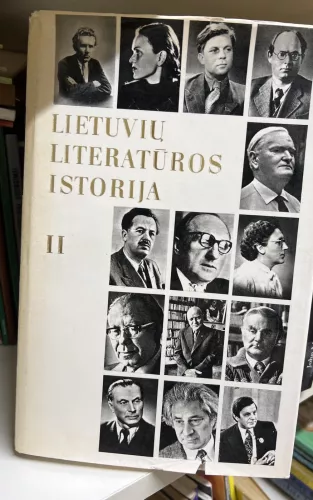 Lietuvių literatūros istorija II - Autorių Kolektyvas, knyga