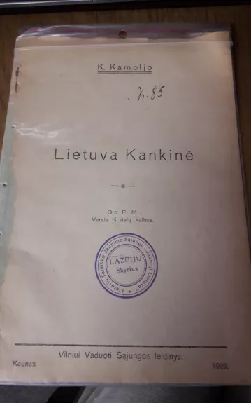 Lietuva kankinė - K. Kamoljo, knyga