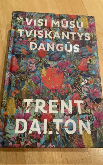 Visi mūsų tviskantys dangūs