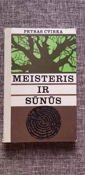 Meisteris ir sūnūs