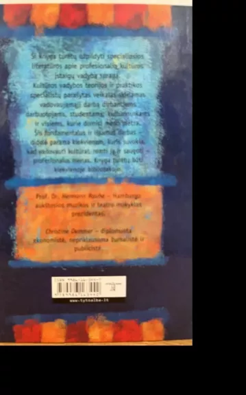 Kultūros vadyba: profesionalaus meno teorija ir praktika - Hermann Rauhe, knyga