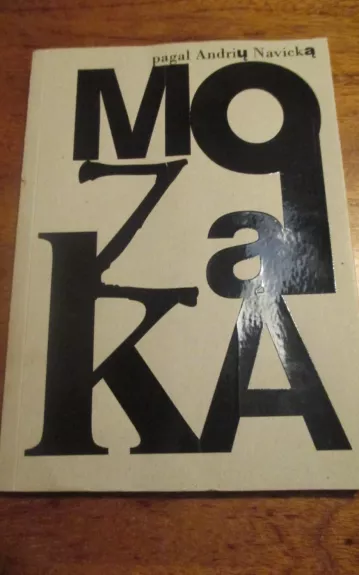 Mozaika pagal Andrių Navicką