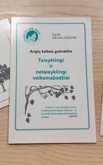 Anglų kalbos gramatika: veiksmažodžiai, būdvardžiai, prielinksniai - Sigutė Grigaliūnienė, knyga 1