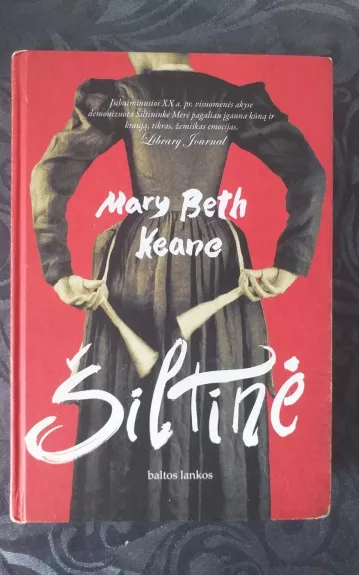 Šiltinė - Mary Beth Keane, knyga 1