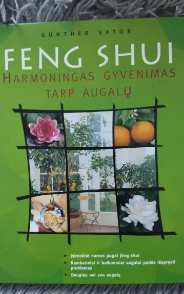 Feng Shui harmoningas gyvenimas tarp augalų
