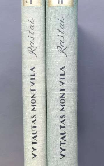 Raštai (2 tomai) - Vytautas Montvila, knyga 1