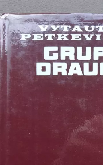 Grupė draugų - Vytautas Petkevičius, knyga