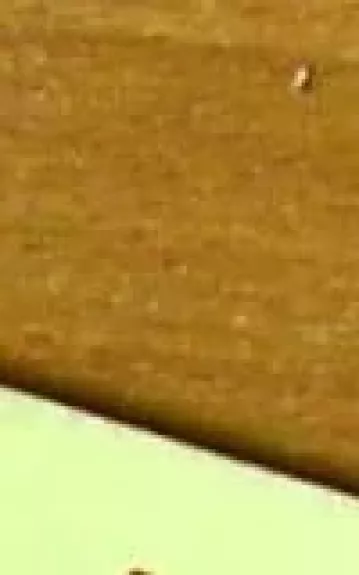 Lietuvos miesto gyventojų materialinė kultūra XX a.