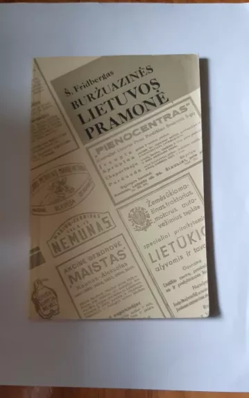 Buržuazinės Lietuvos pramonė