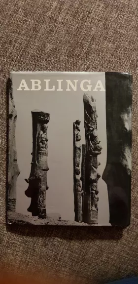 Ablinga - Algimantas Patašius, knyga 1