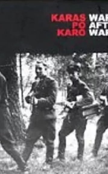 Karas po karo. Ginkluotasis antisovietinis pasipriešinimas Lietuvoje 1944-1953 m. - Autorių Kolektyvas, knyga