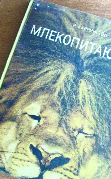 Млекопитающие