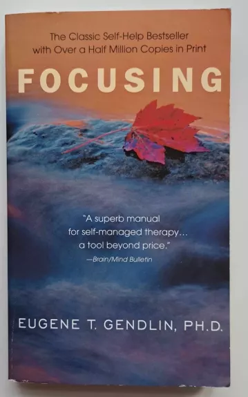 Focusing - Eugene T. Gendlin, knyga 1