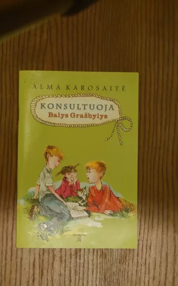 Konsultuoja Balys Gražbylys - Alma Karosaitė, knyga