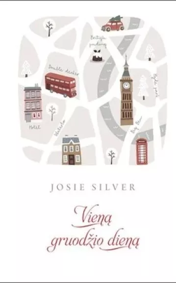 Vieną gruodžio dieną - Josie Silver, knyga