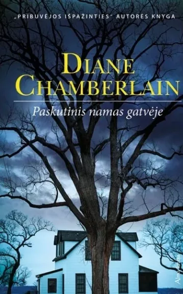 Paskutinis namas gatvėje - Diane Chamberlain, knyga