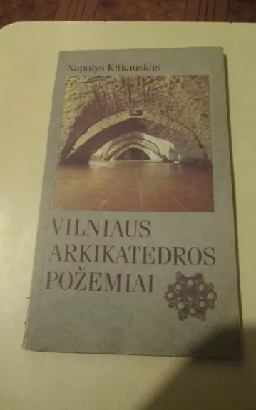 Vilniaus arkikatedros požemiai - Napalys Kitkauskas, knyga 1