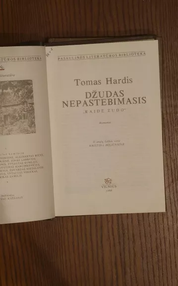 Džudas nepastebimasis - Tomas Hardis, knyga 1