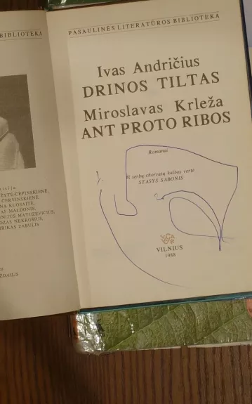 Drinos tiltas. Ant proto ribos