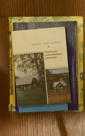 Amžinasis nomenklatūros pavasaris - Valdas Vasiliauskas, knyga