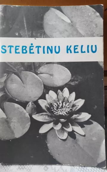 Stebėtinu keliu