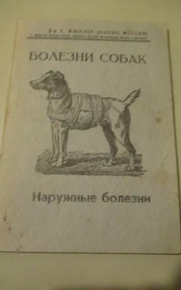 Болезни собак Наружные болезни