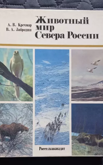 Животный мир Севера России - Autorių Kolektyvas, knyga
