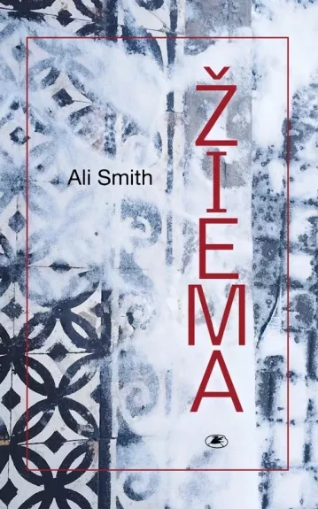 Žiema - Smith Ali, knyga
