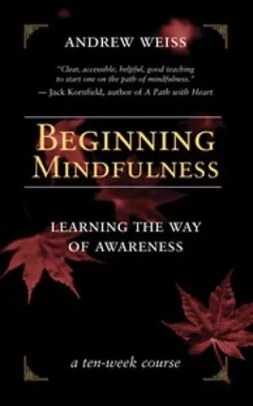 Beginning mindfulness - Learning the way of awareness