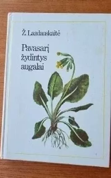 Pavasarį žydintys augalai - Živilė Lazdauskaitė, knyga