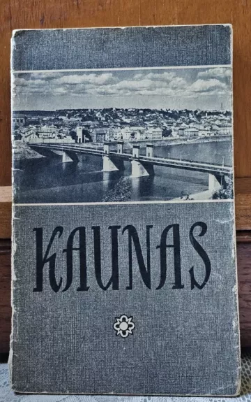 Kaunas - Vyt. Zeliukas, knyga