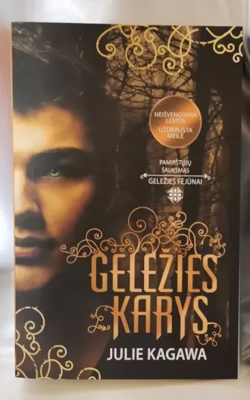 Geležies karys