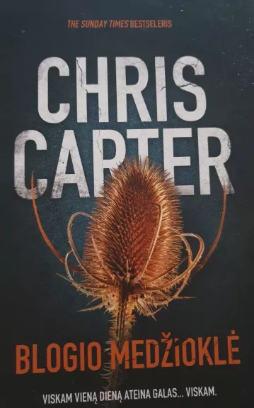 Blogio medžioklė - Chris Carter, knyga
