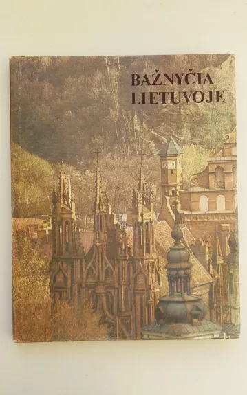 Bažnyčia Lietuvoje - Vytautas Kazakevičius, knyga