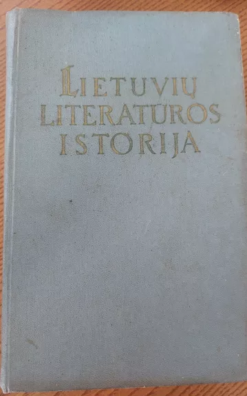 Lietuvių literatūros istorija (I tomas) - Autorių Kolektyvas, knyga 1