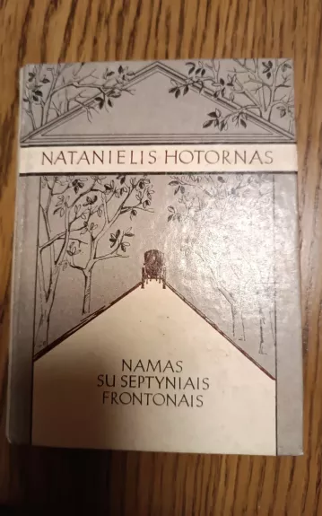 Namas su septyniais frontonais - Natanielis Hotornas, knyga