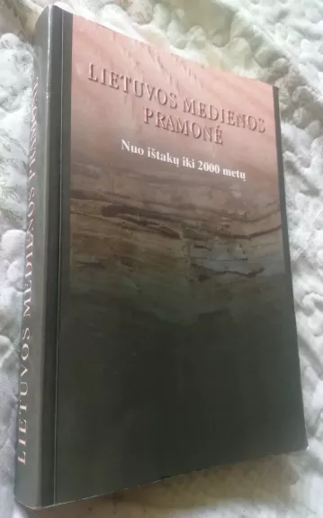 Lietuvos medienos pramonė. Nuo ištakų iki 2000 metų - Antanas Morkevičius, knyga