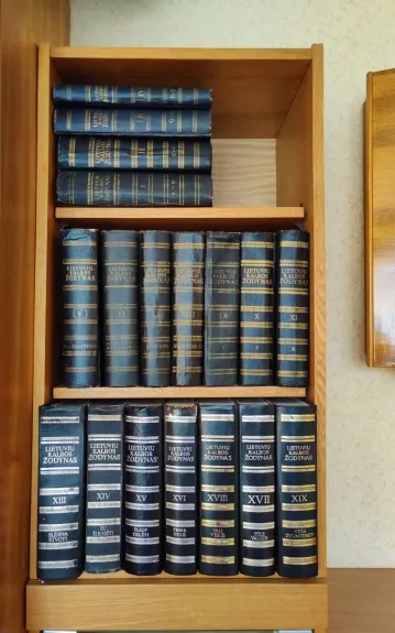 Didysis lietuvių kalbos žodynas (15 tomų) - Autorių Kolektyvas, knyga