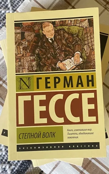 Степной волк - Герман Гессе, knyga