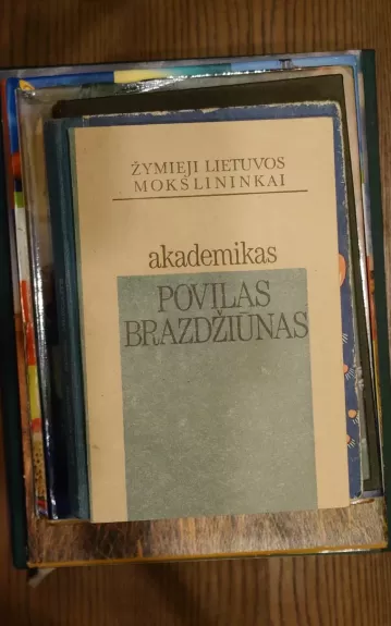 Akademikas Povilas Brazdžiūnas - Autorių Kolektyvas, knyga